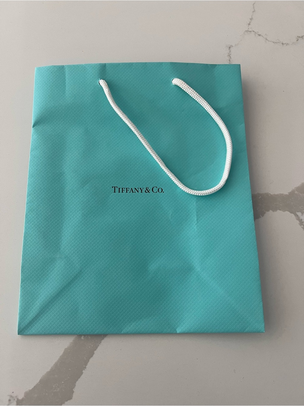 Tiffany & Co. Robin's Egg Blue Gift Bag with White Cord